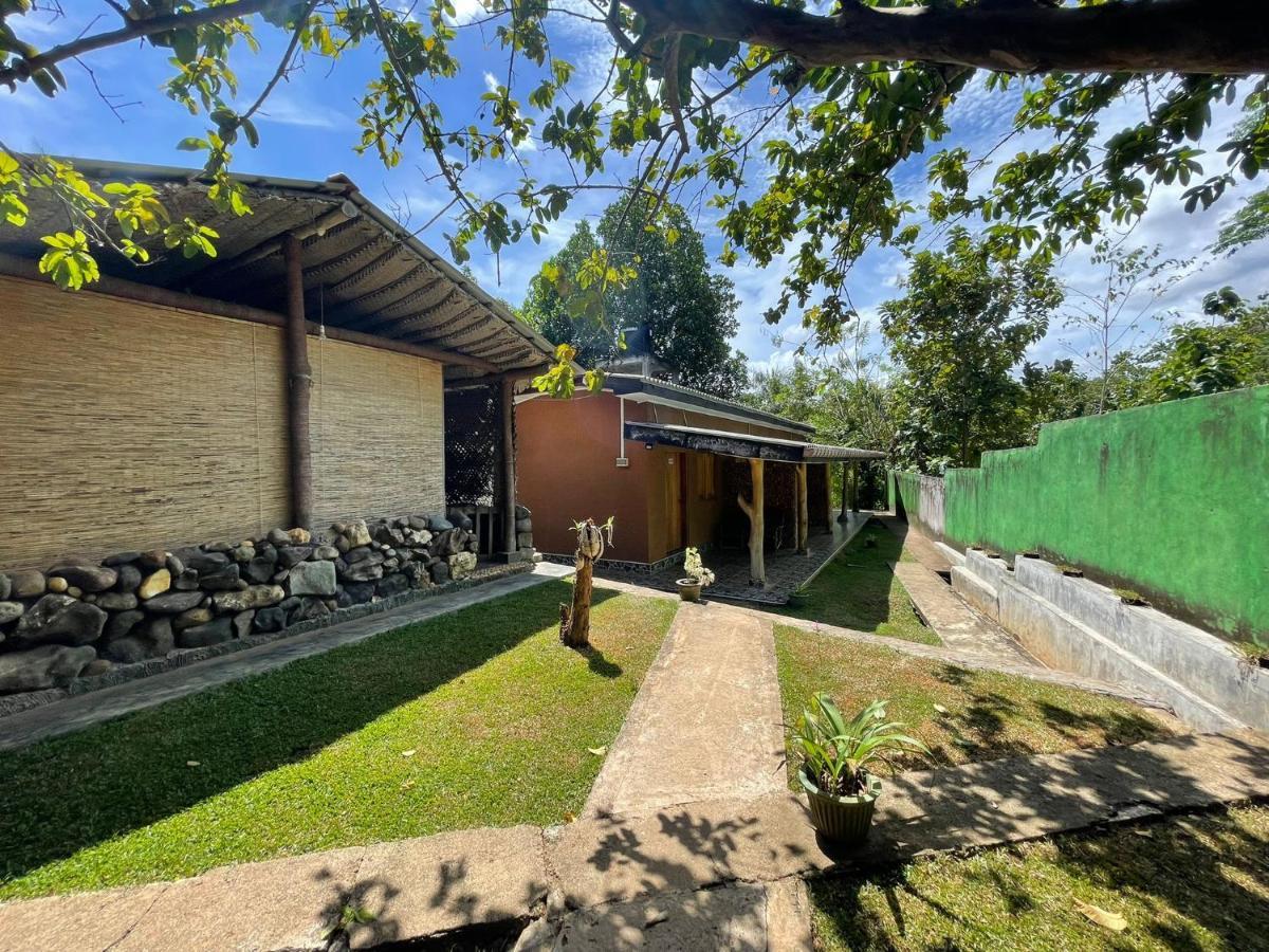 Palm Land Eco Resort And Safari Tours Uda Walawe Extérieur photo